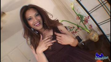 tranny movie gallery, shemale film